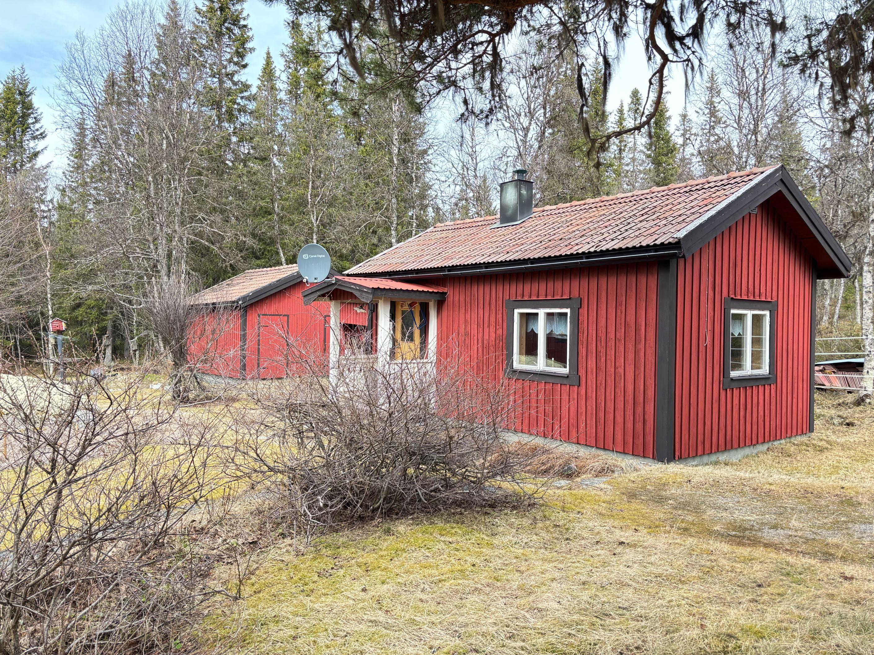 Gäststuga och förråd med vedbod