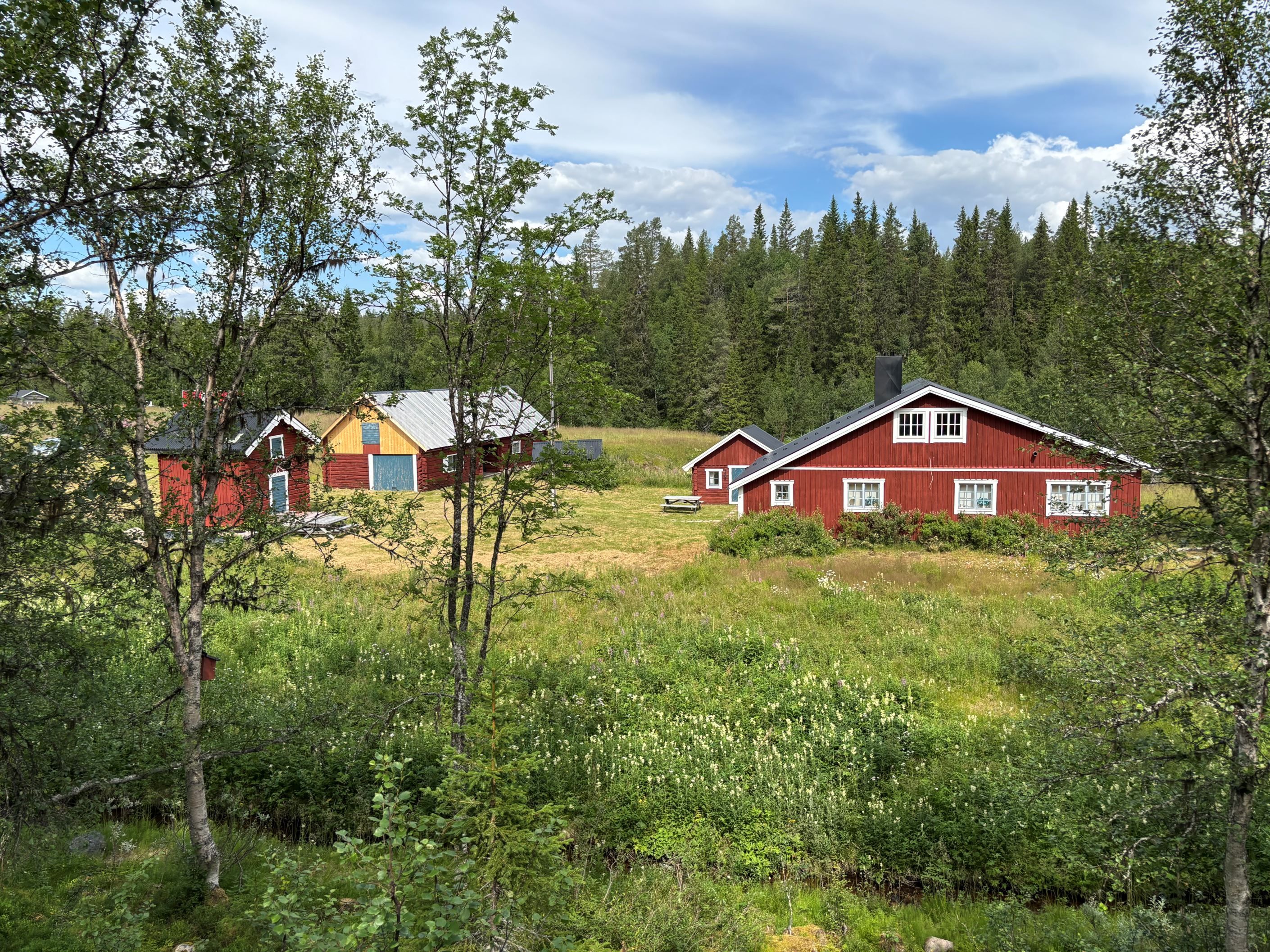 Bild tagen från skogen mot gården