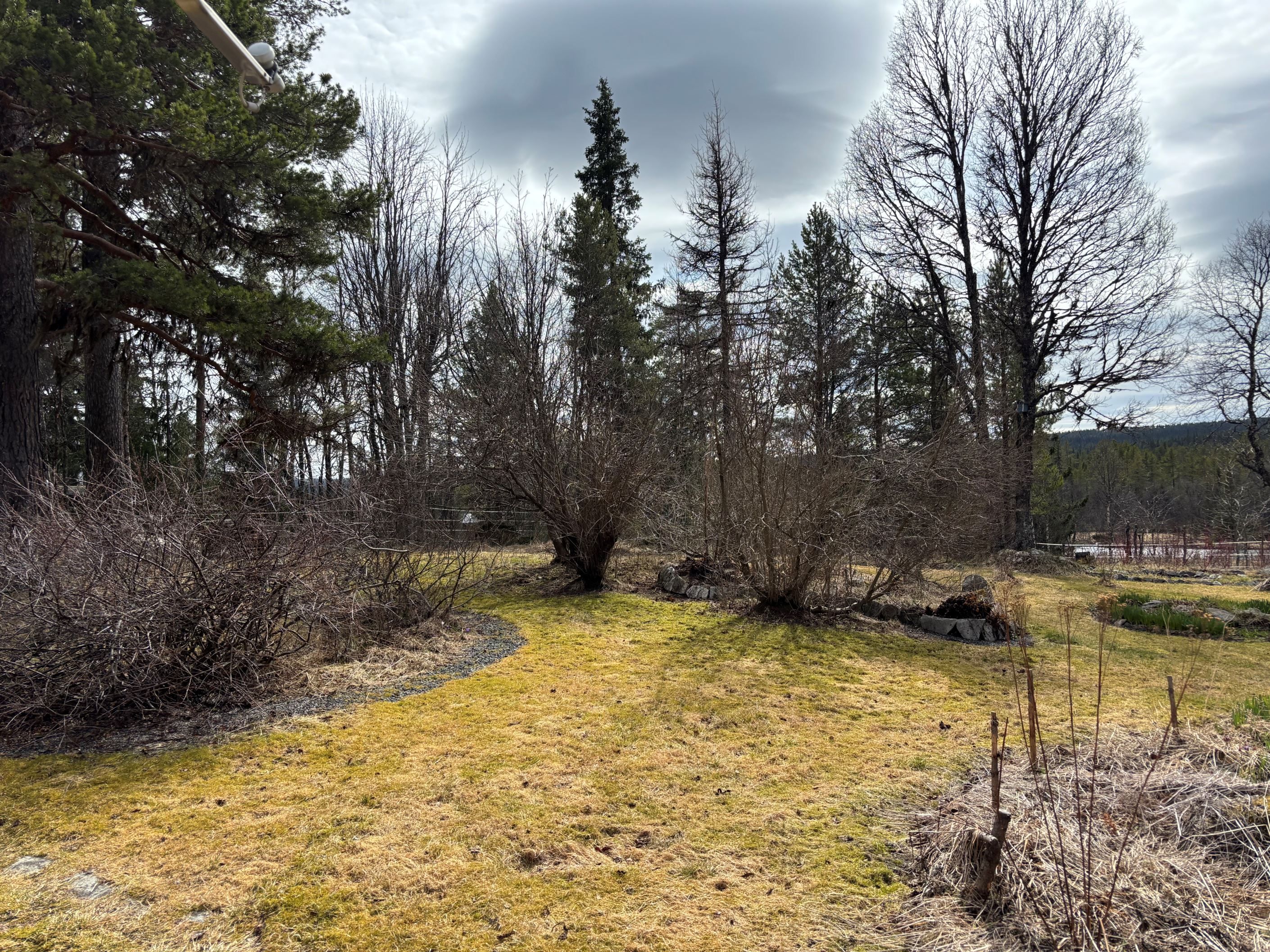Trädgården