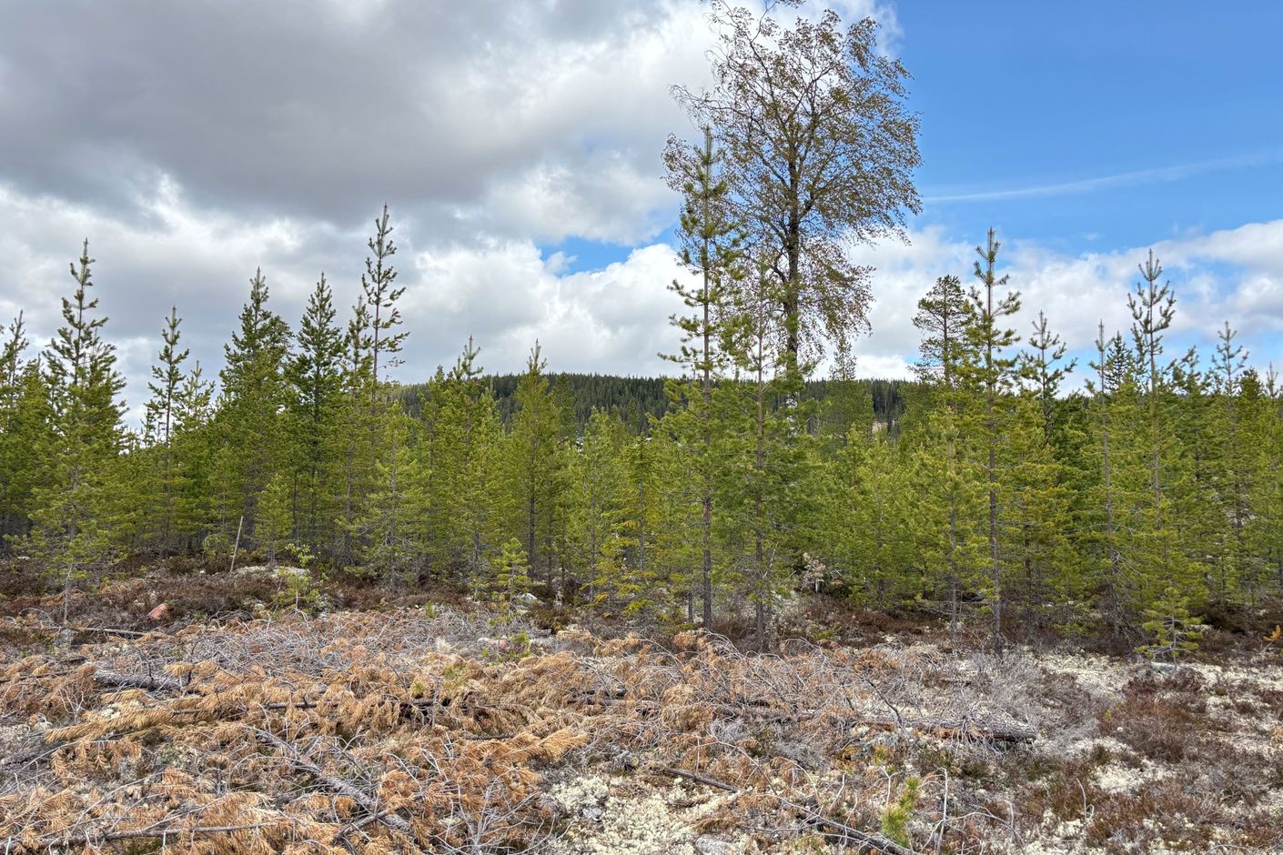Utsikt från tomten och mot Hemmeråsen