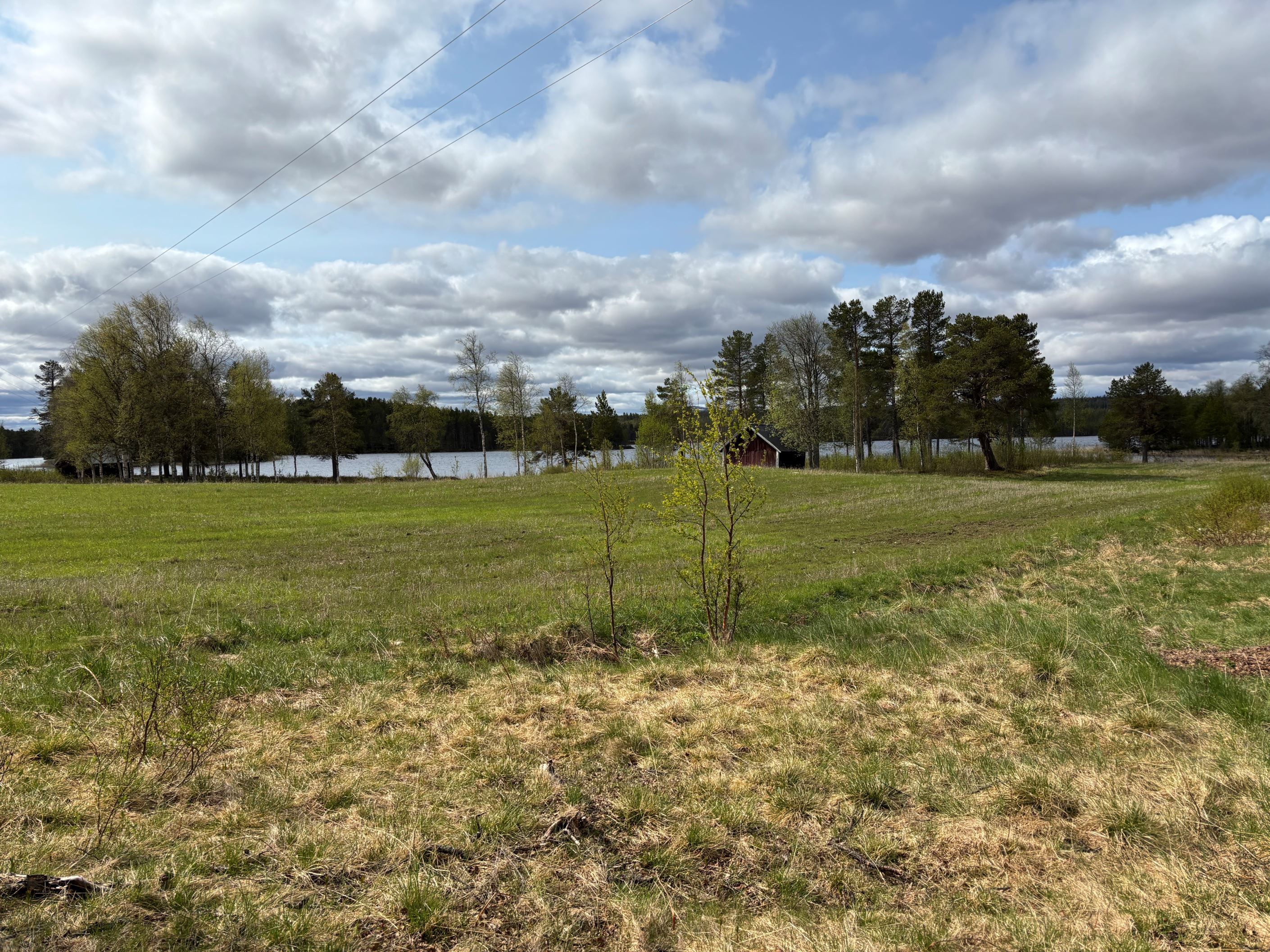 Sjön och ängen