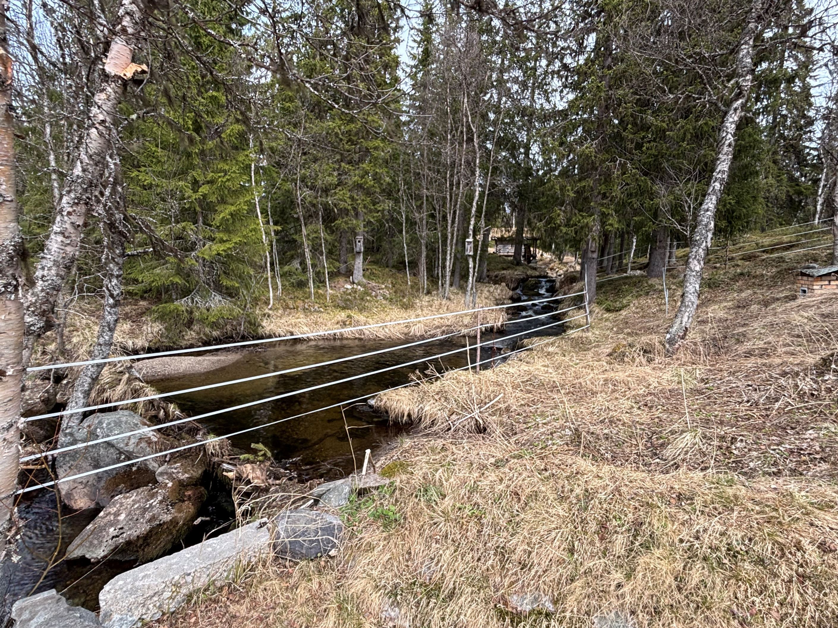 En damm finns i bäcken