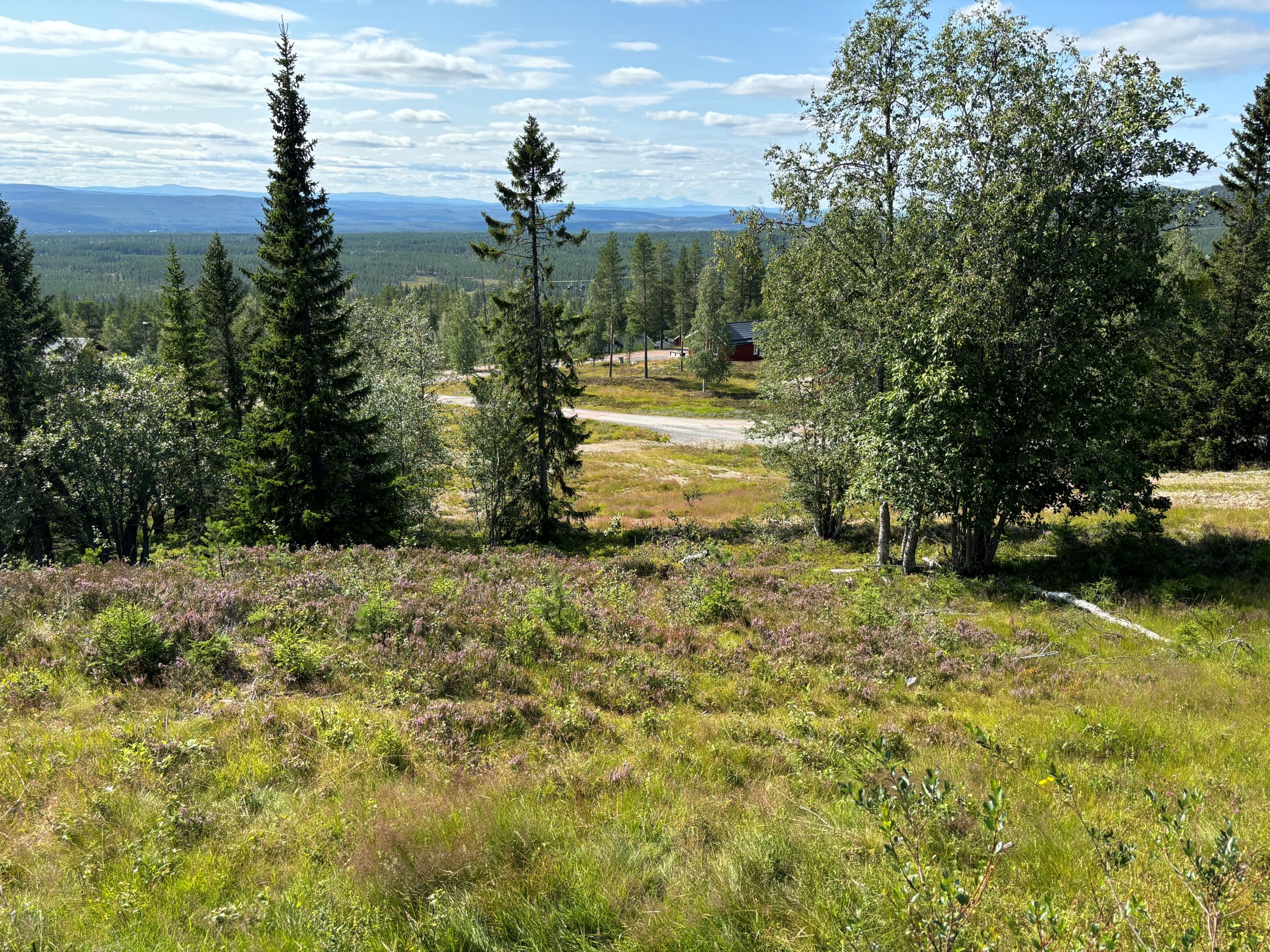 Stugbybacken