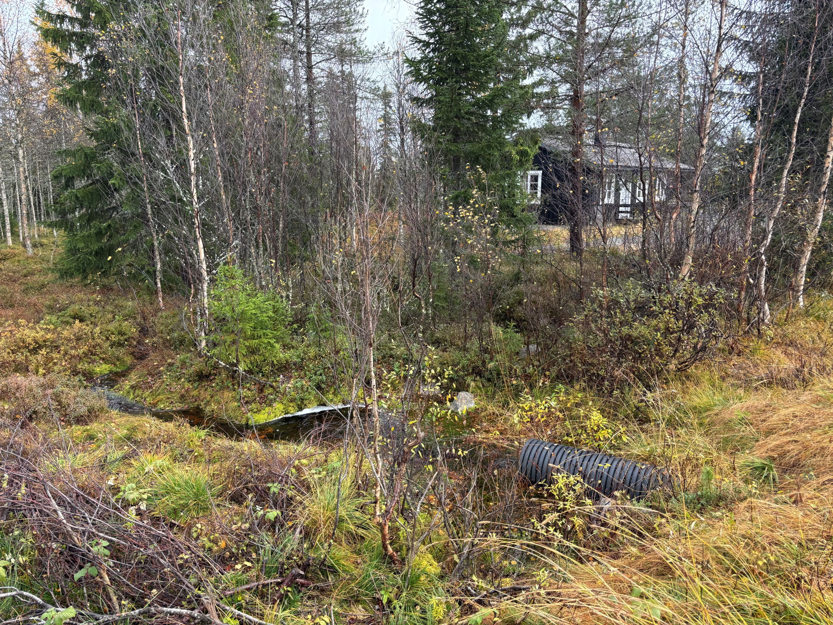 Fjällbäcken som rinner vid tomtgränsen