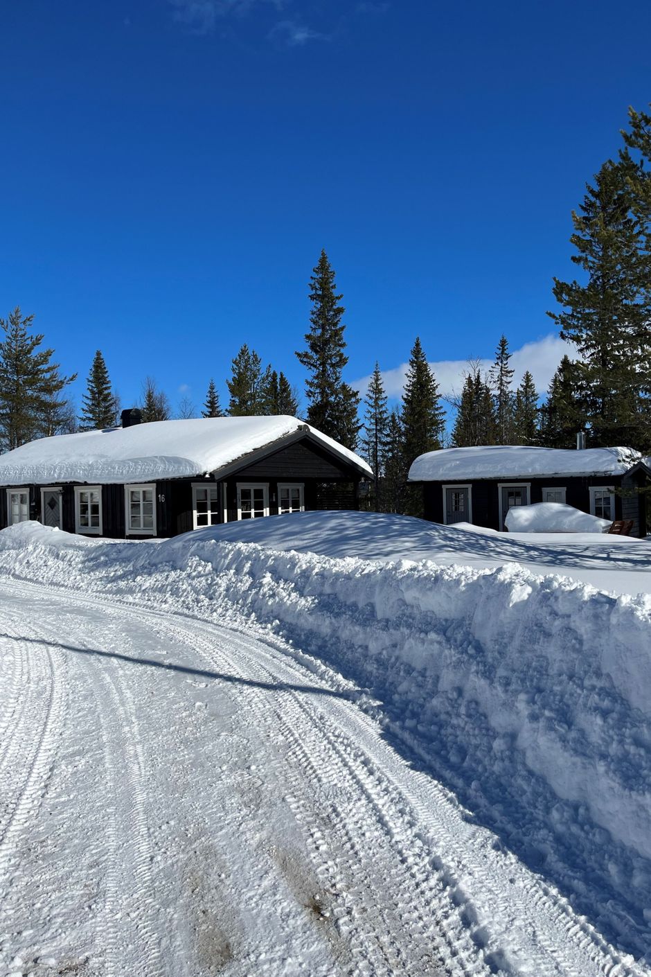 Stugan i vinterskrud
