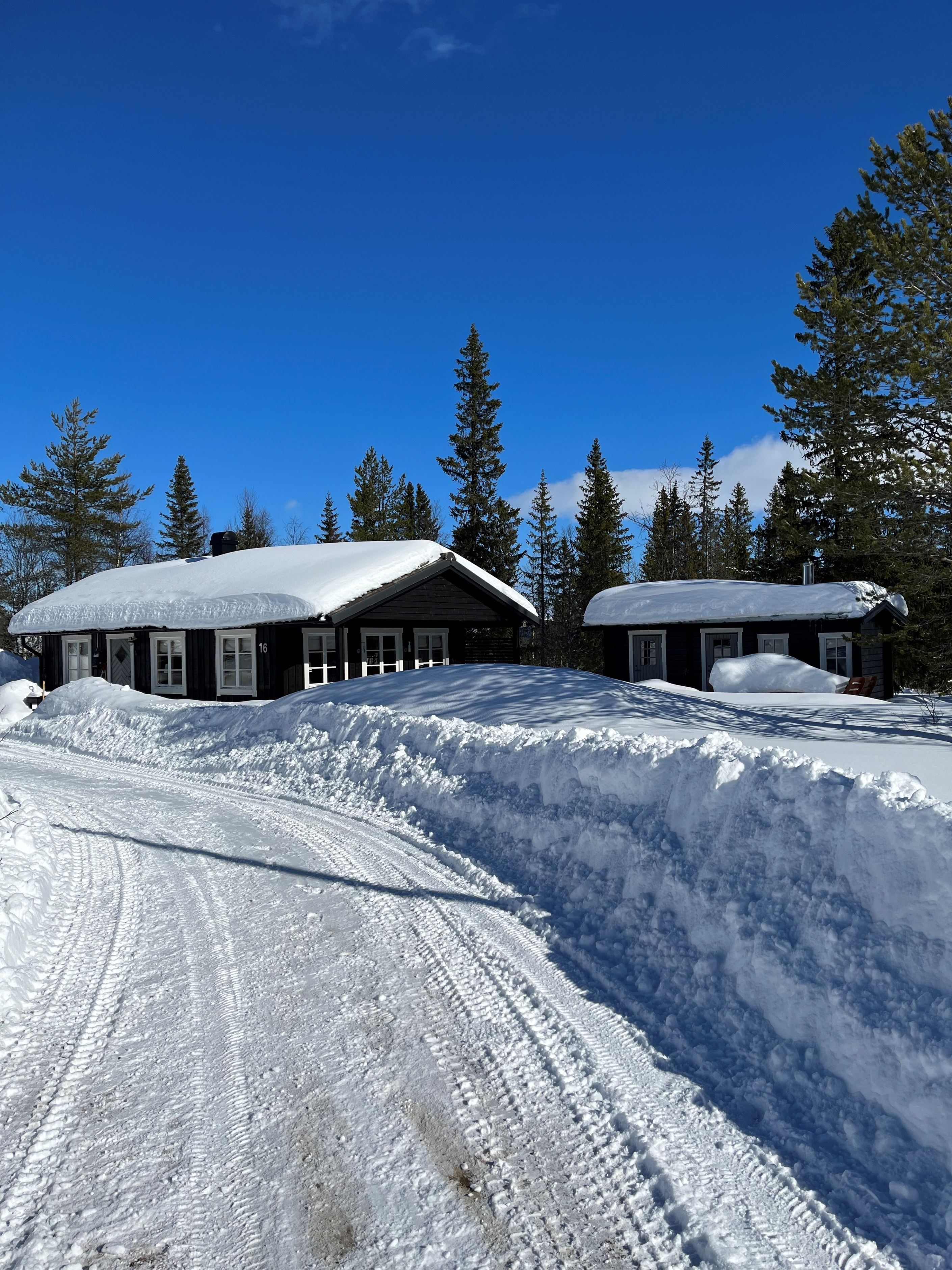 Stugan i vinterskrud