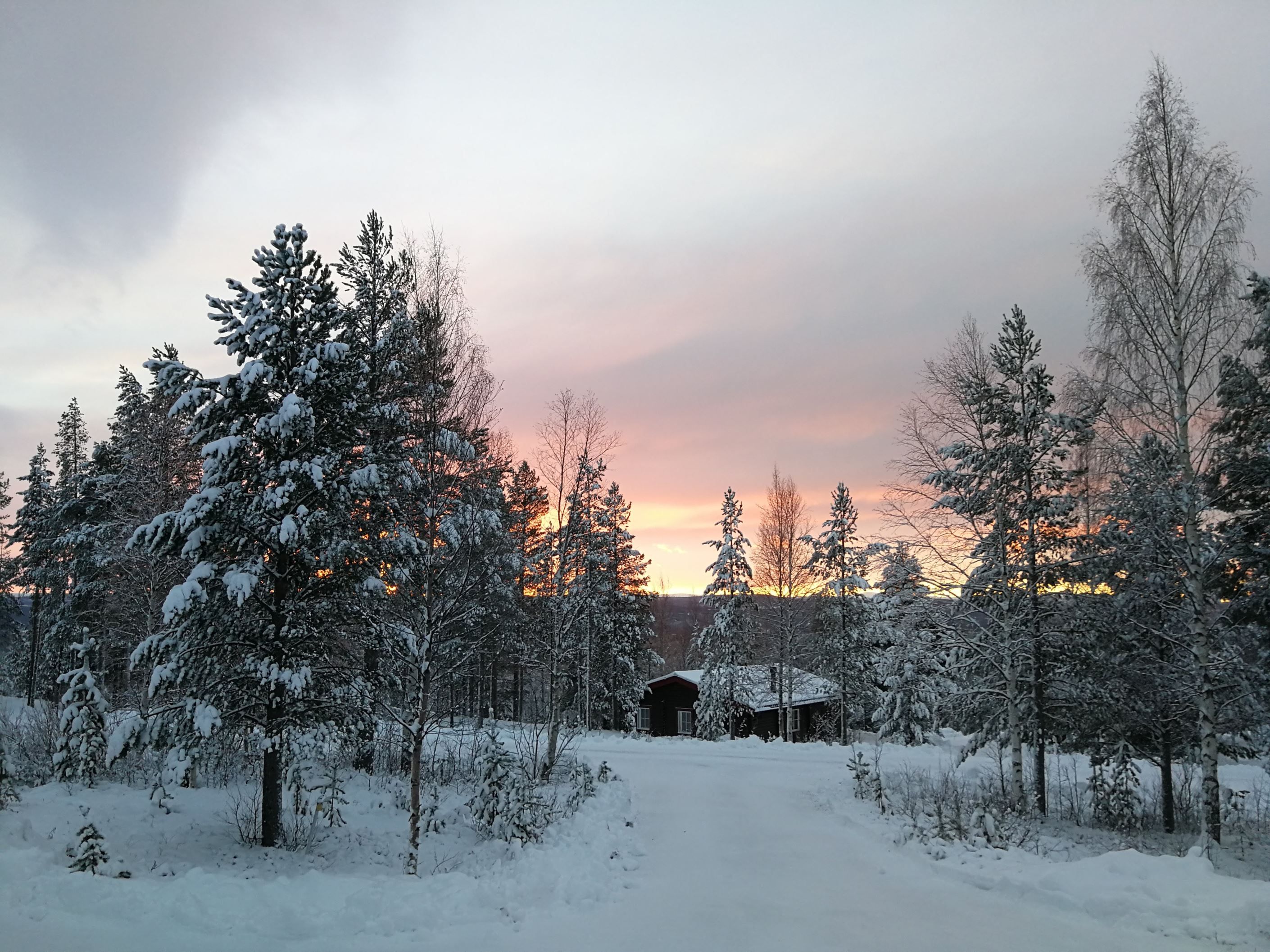 Vinterbild från huset