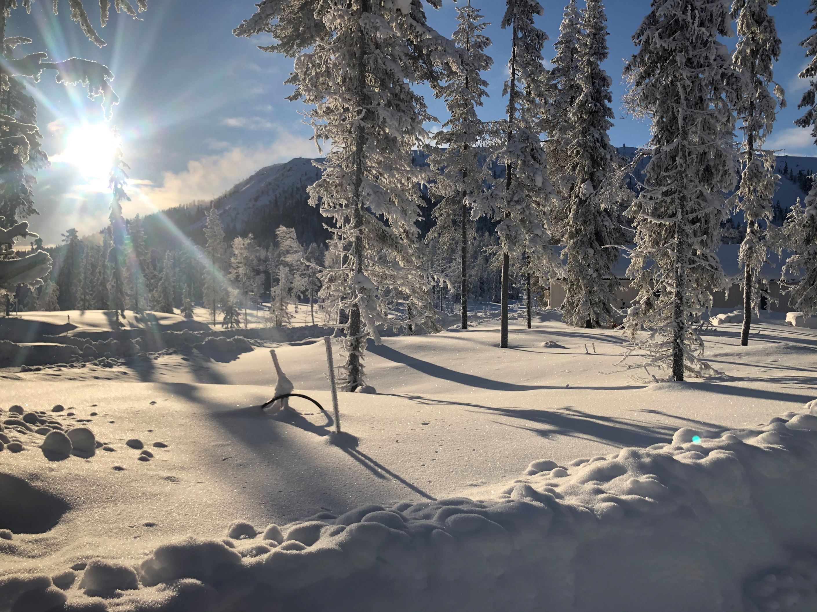 Solen och tomtområdet