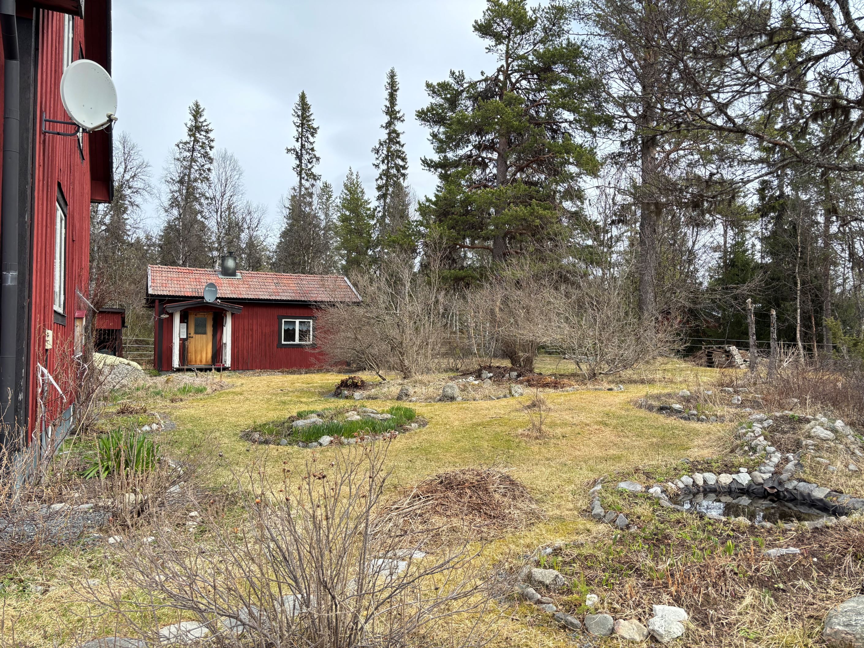 Trädgården och gäststugan