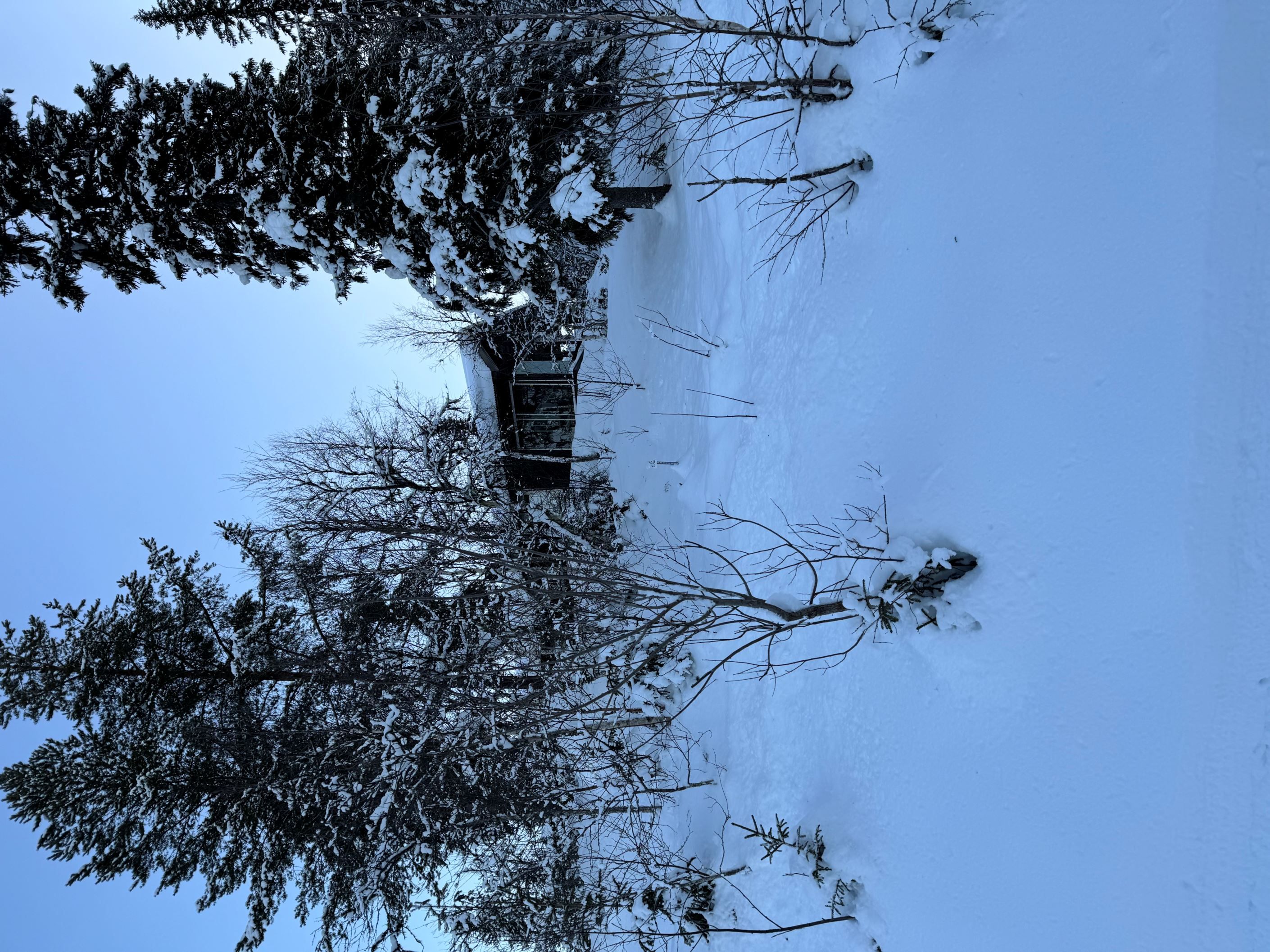 Huset i vinterskrud