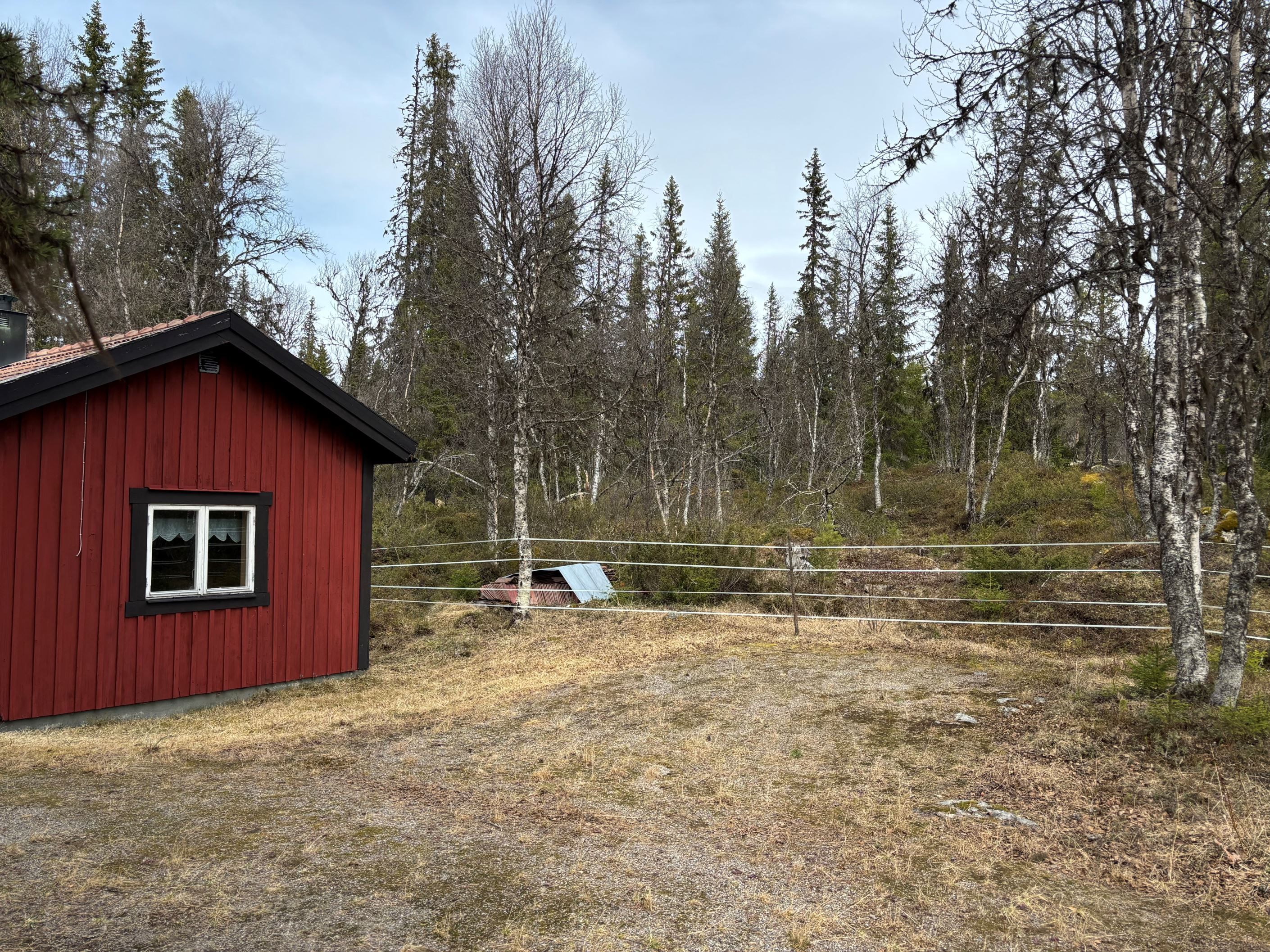 Naturen inpå tomtgränsen