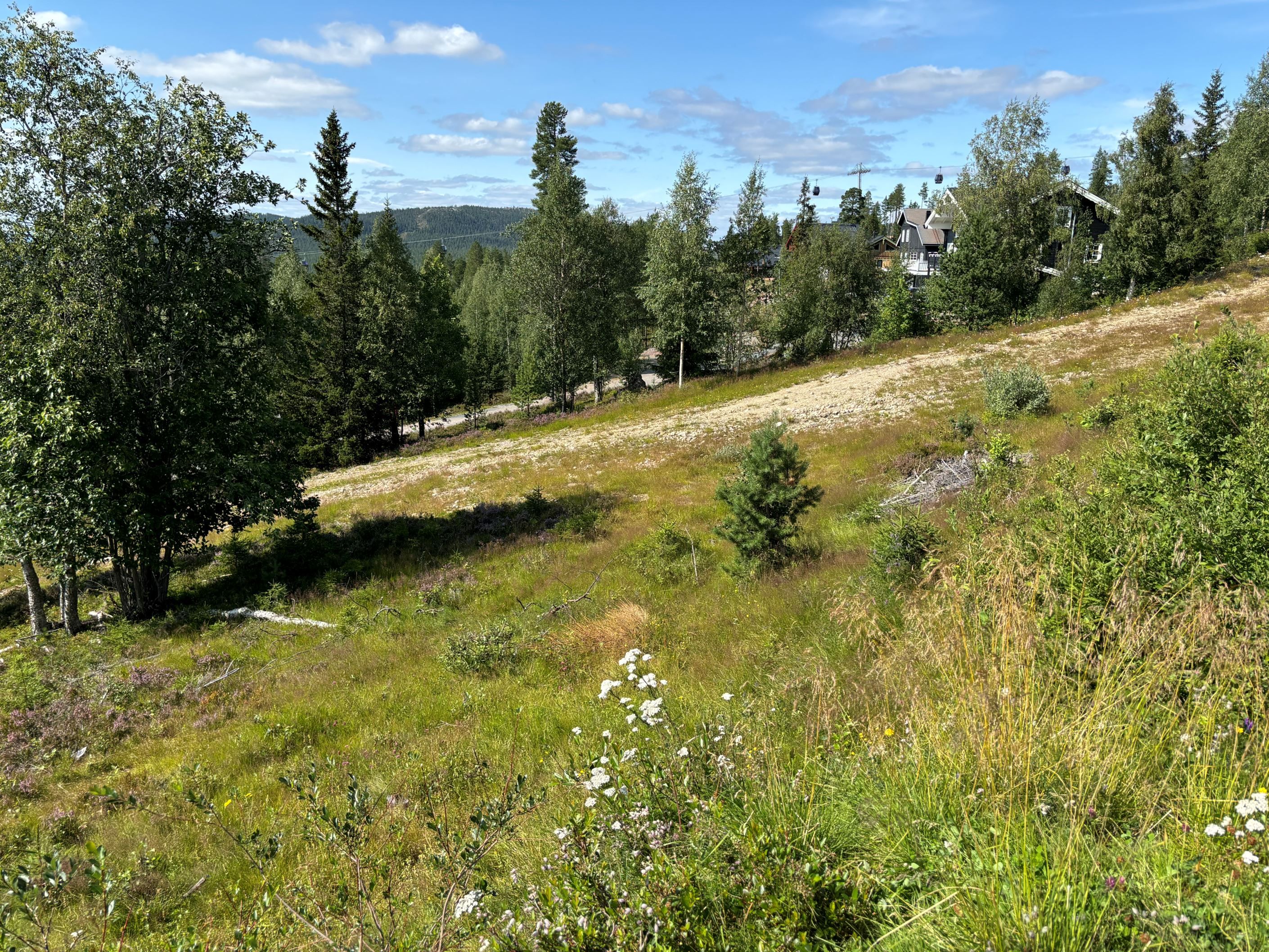 Stugbybacken