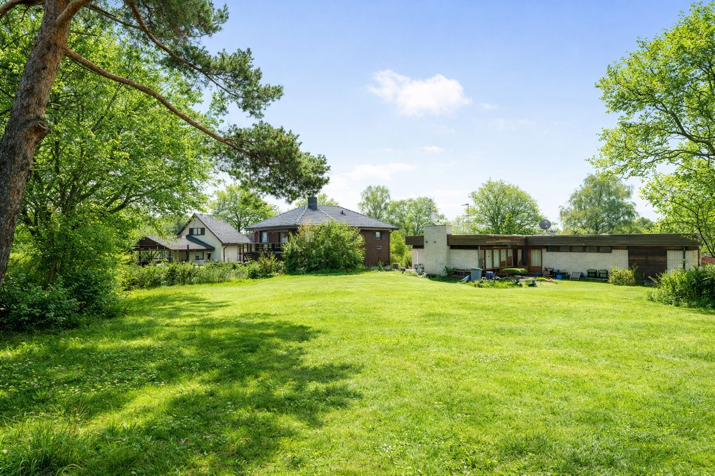 Grönskande trädgård med hus i solen
