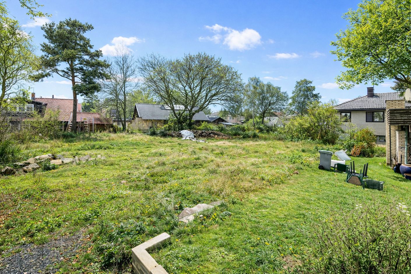 Solig trädgård med vildblommor