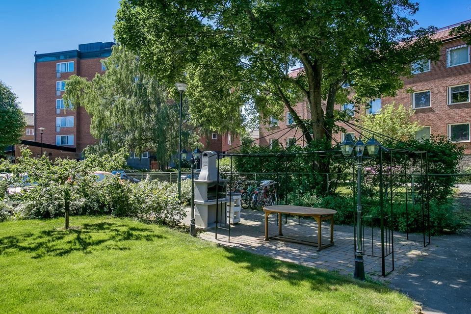 Föreningens gemensamma