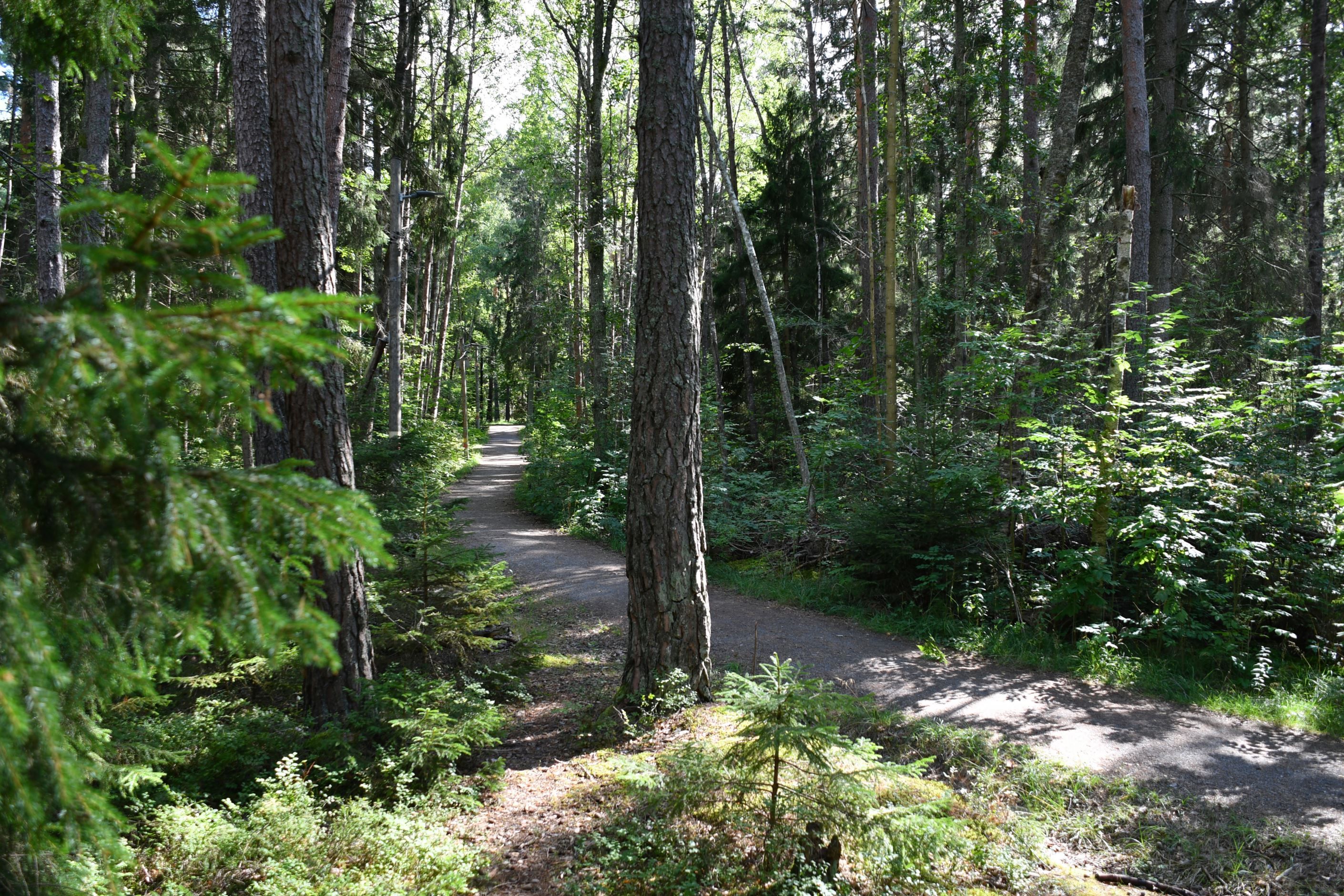 Grimsta Naturreservat