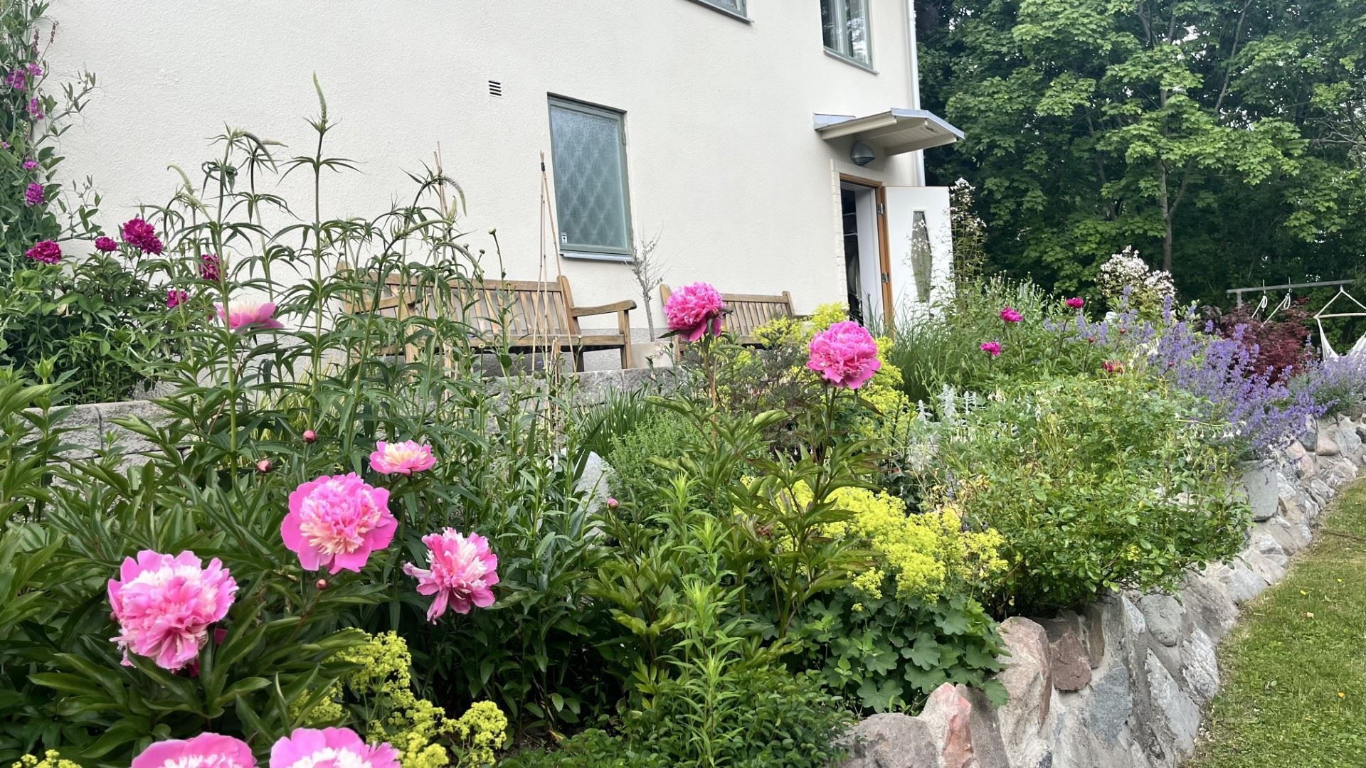 Säljarens egna bilder
