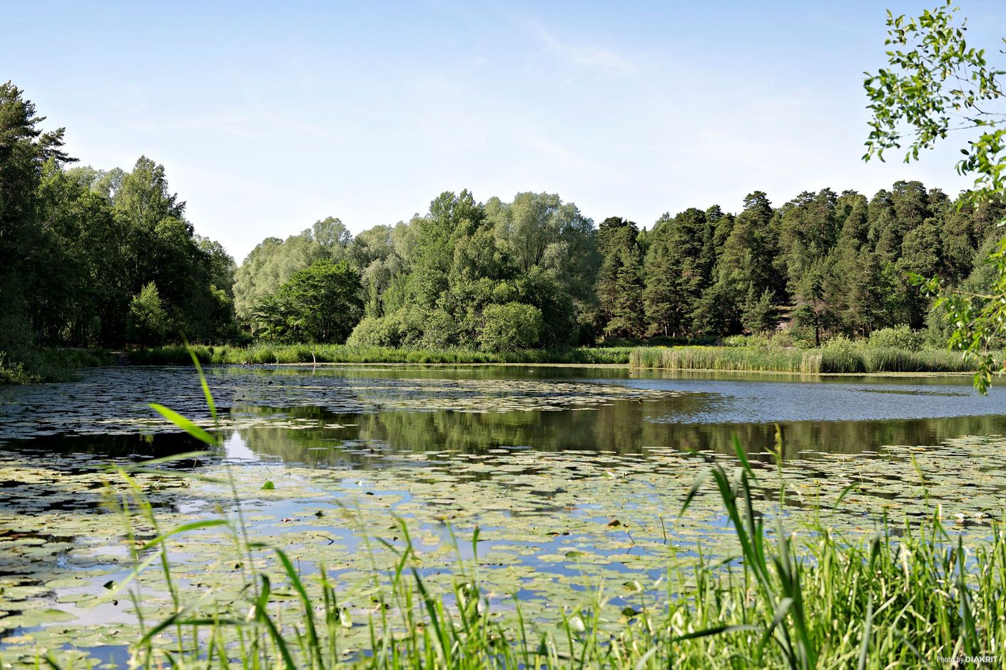 Råcksta Träsk