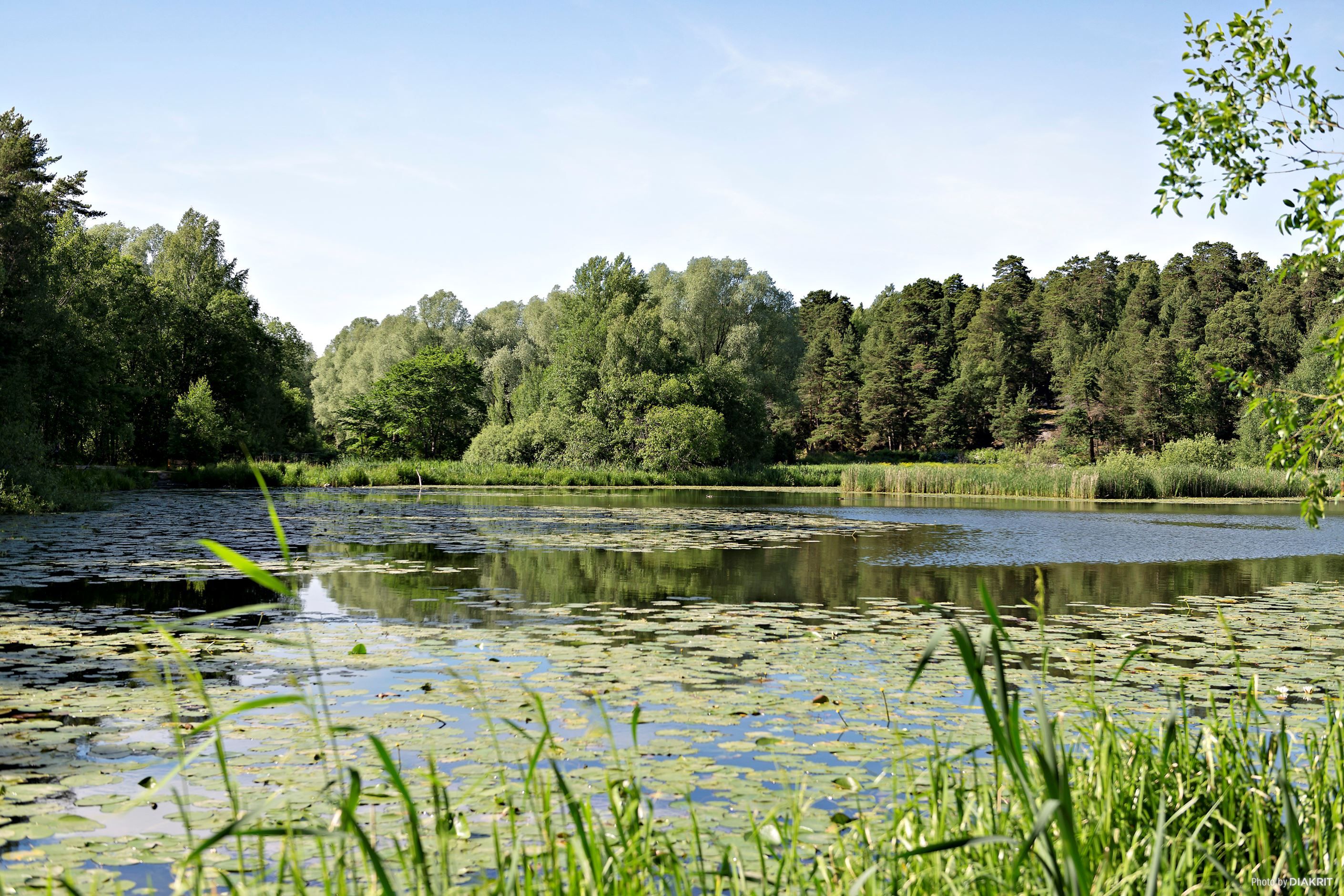 Råcksta Träsk