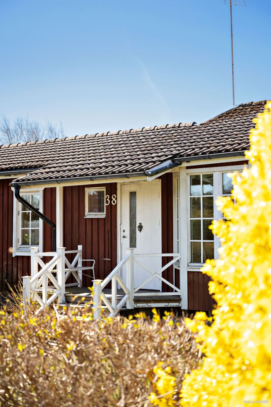 Exteriör
