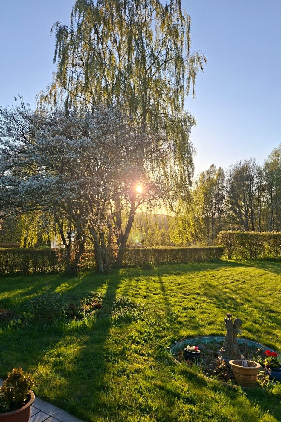 Säljarens egna bilder