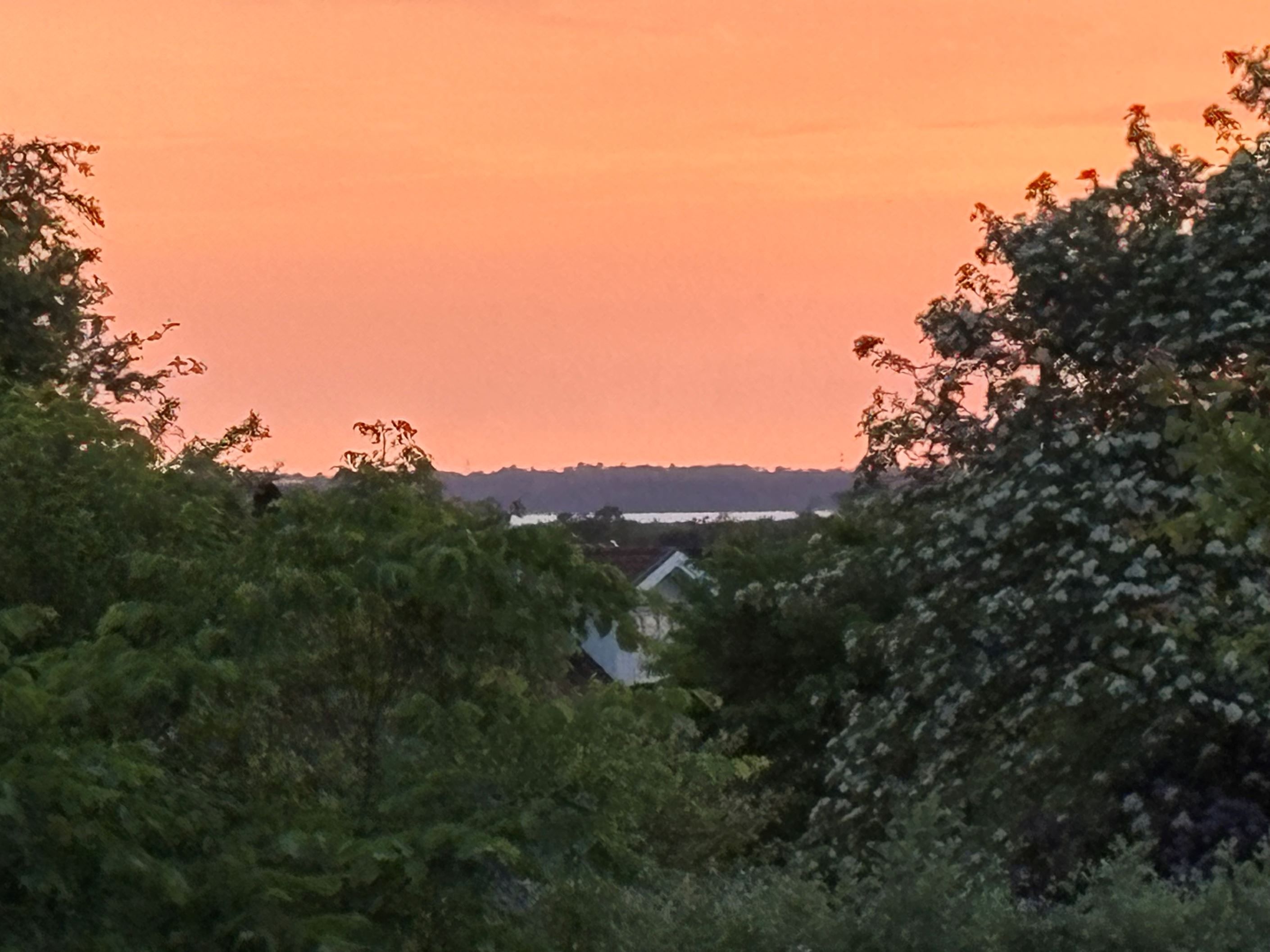 Säljarens bild