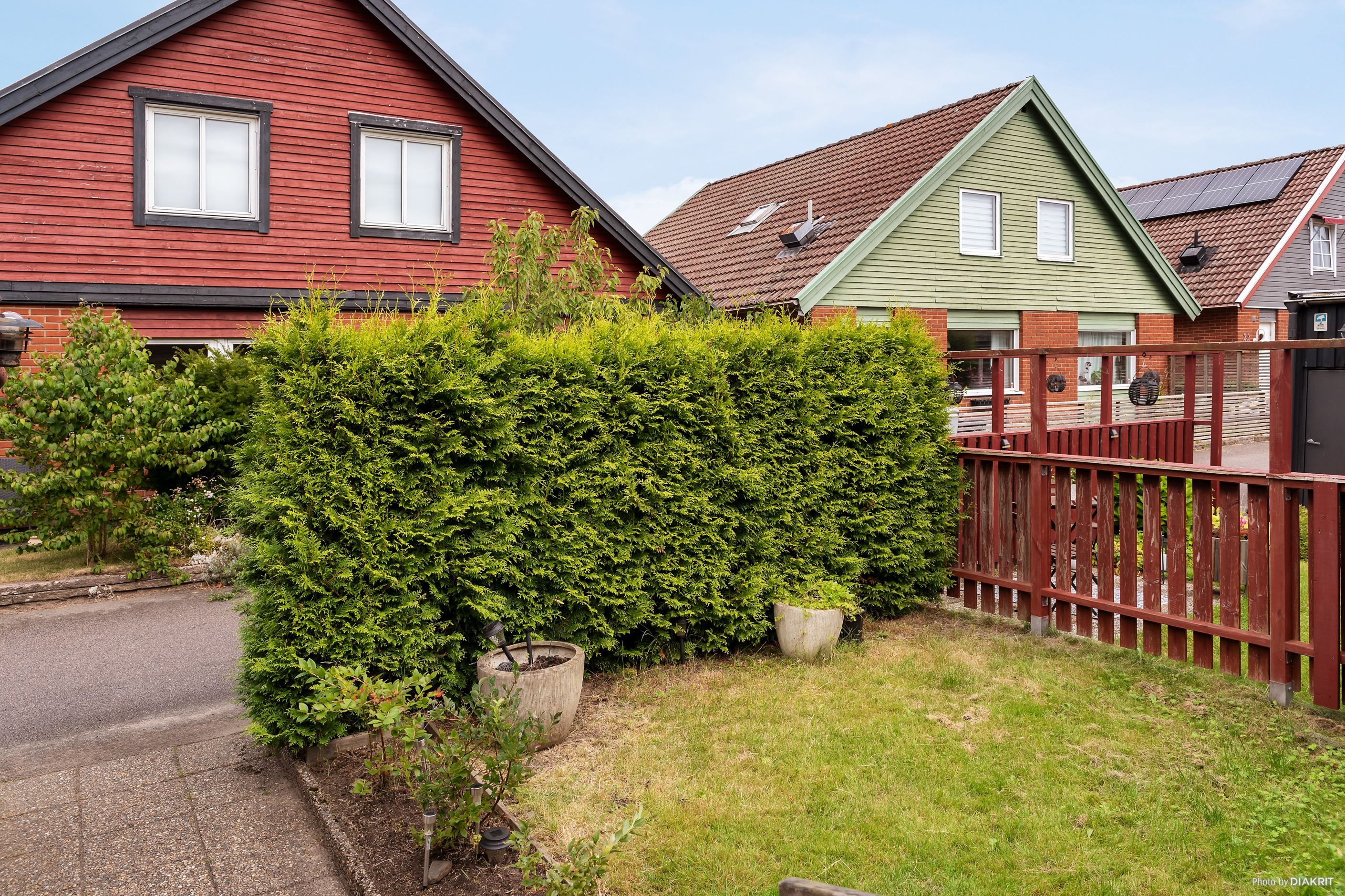 Trädgård