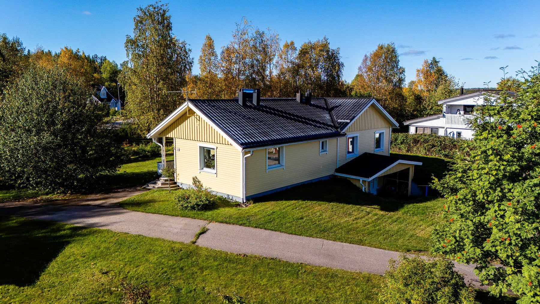 Exteriör