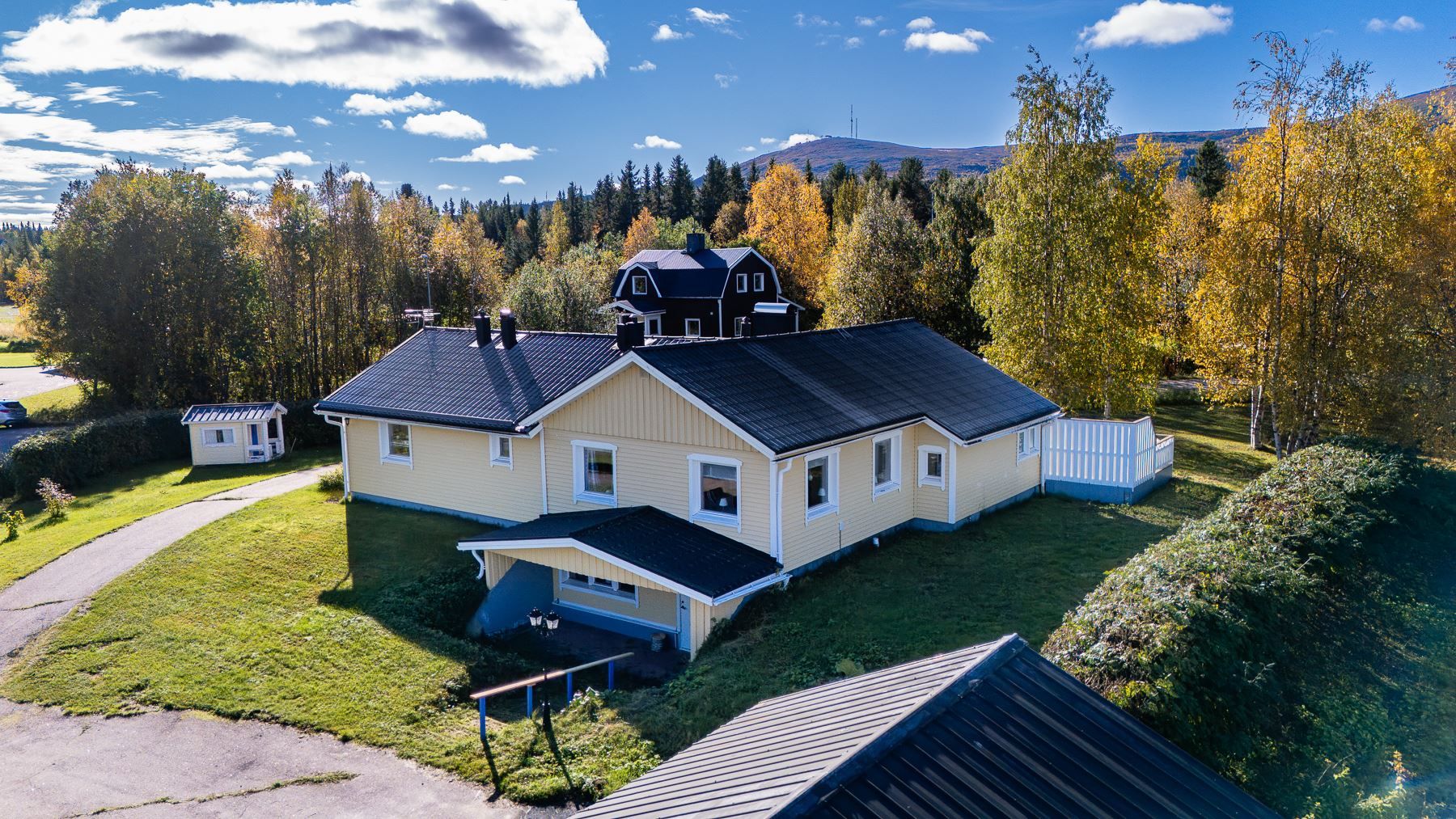 Exteriör