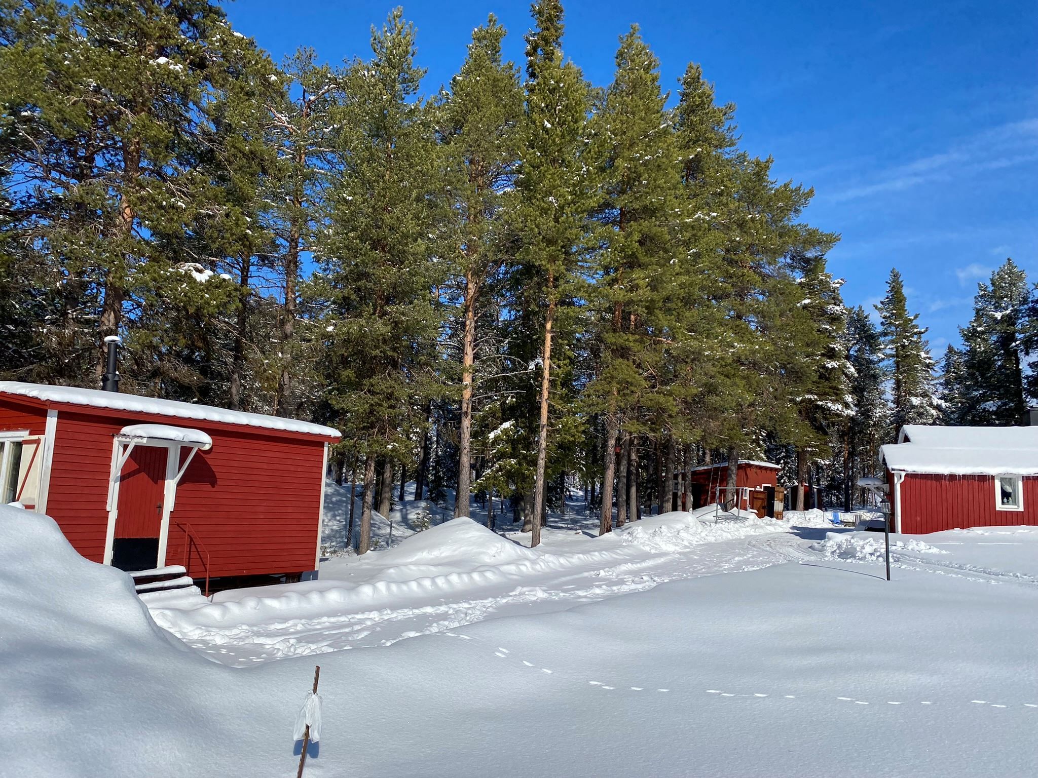 Säljarens bilder