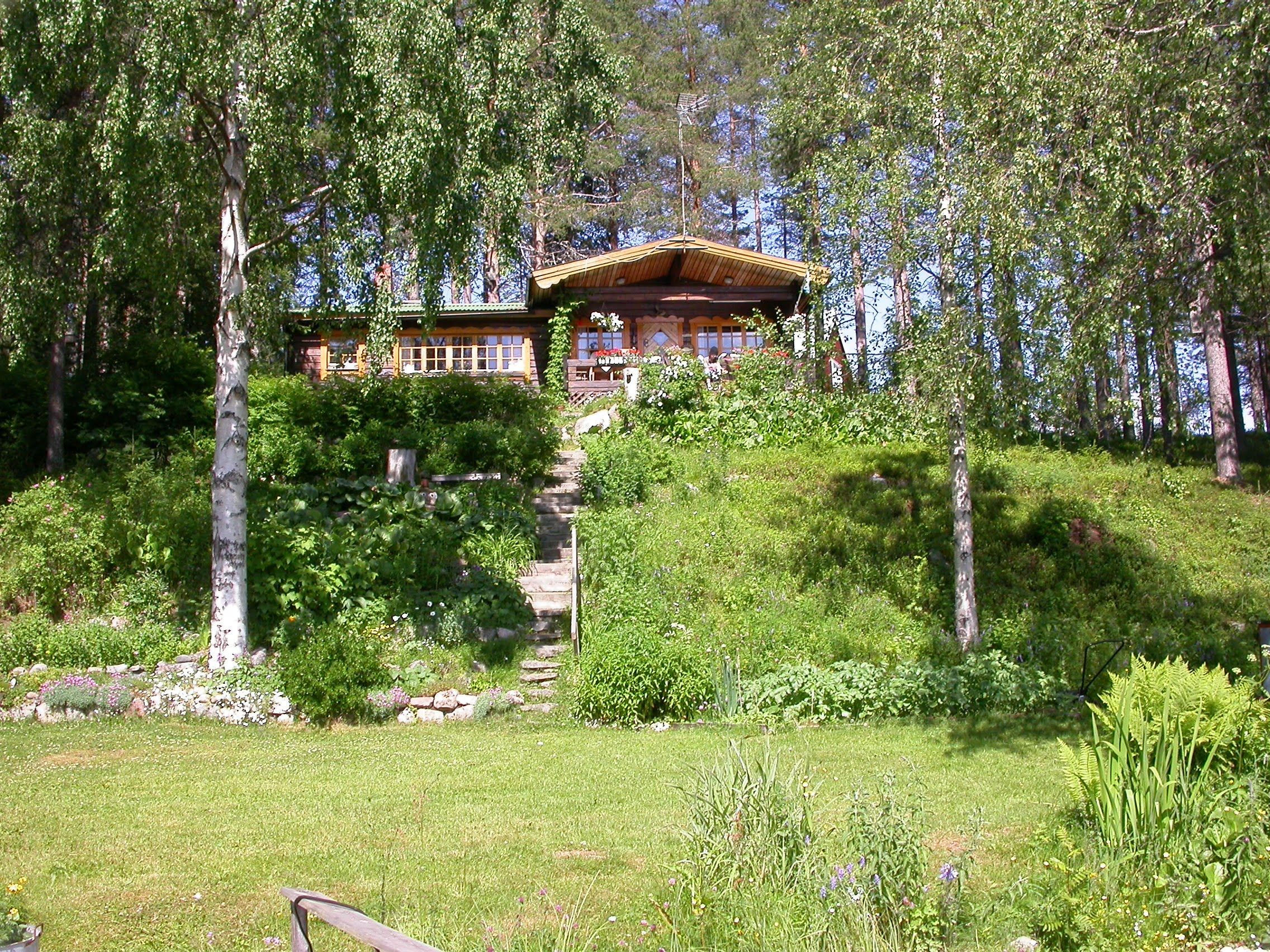 Sammakko 15