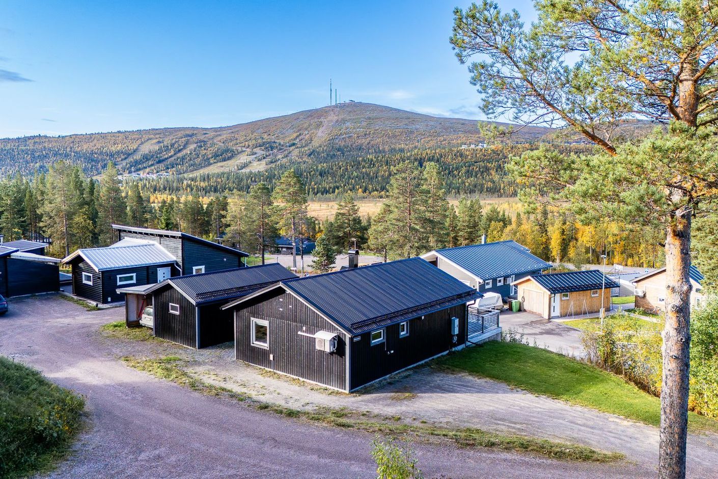 Exteriör