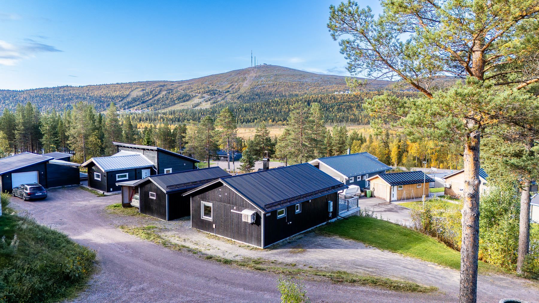 Exteriör