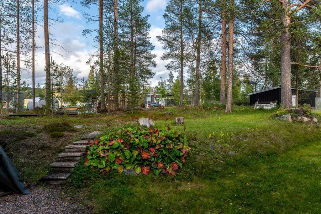 Gård