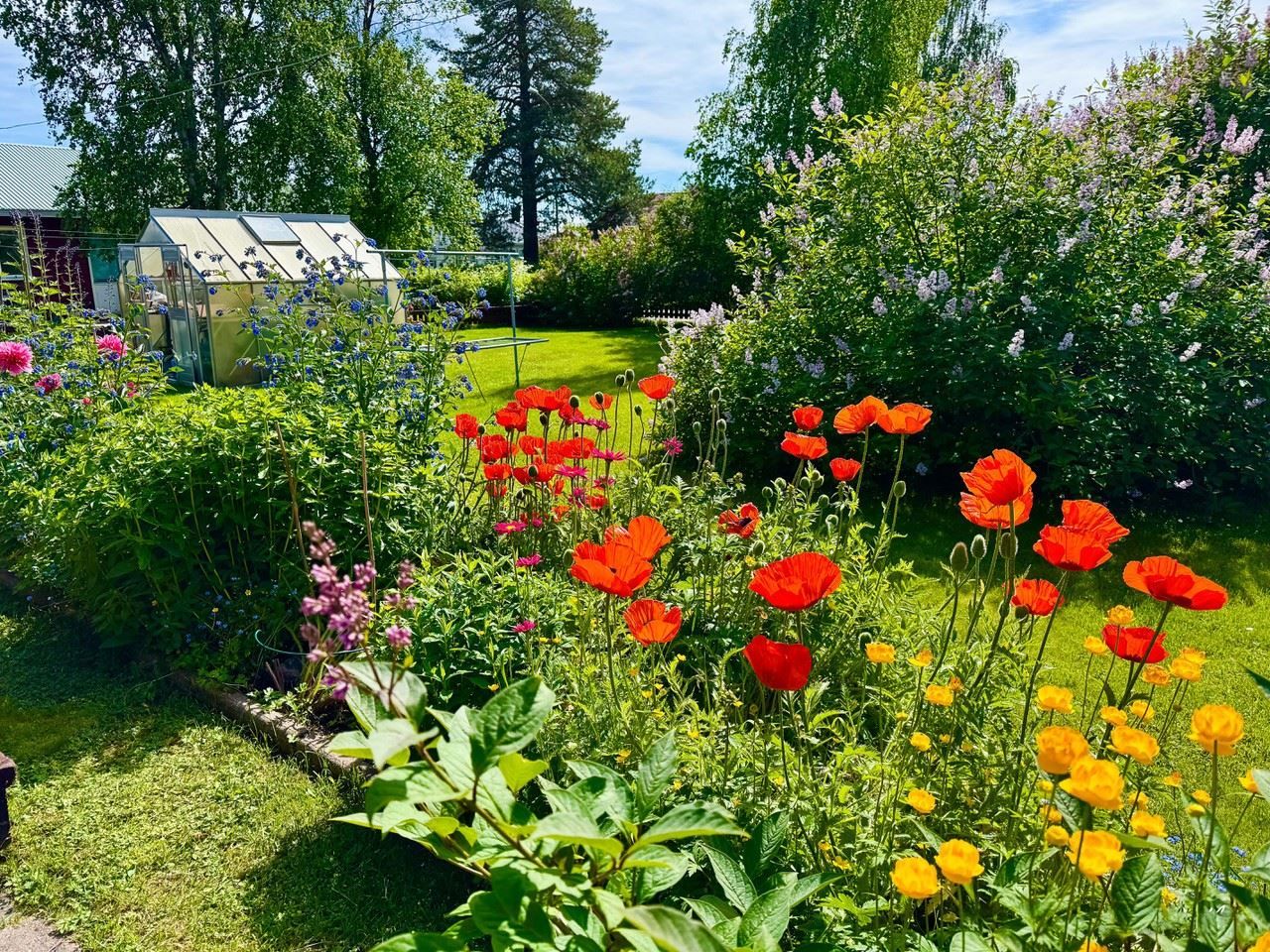 Säljarens egna bilder