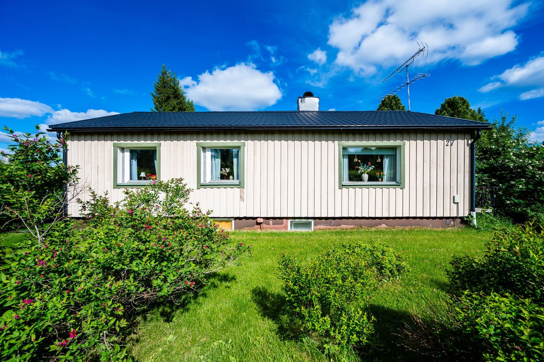 Exteriör