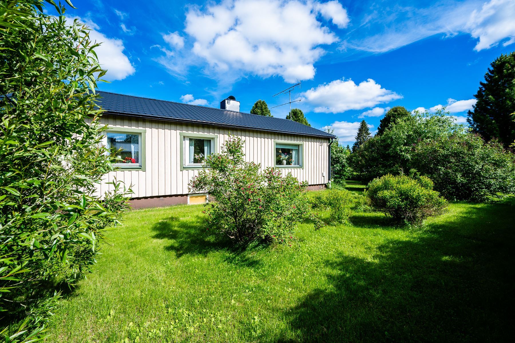Exteriör