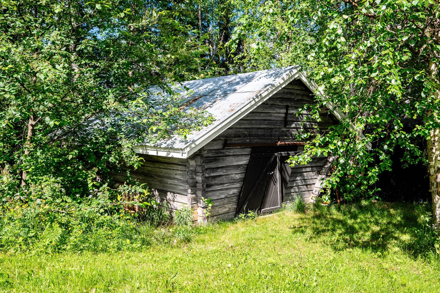 Exteriör