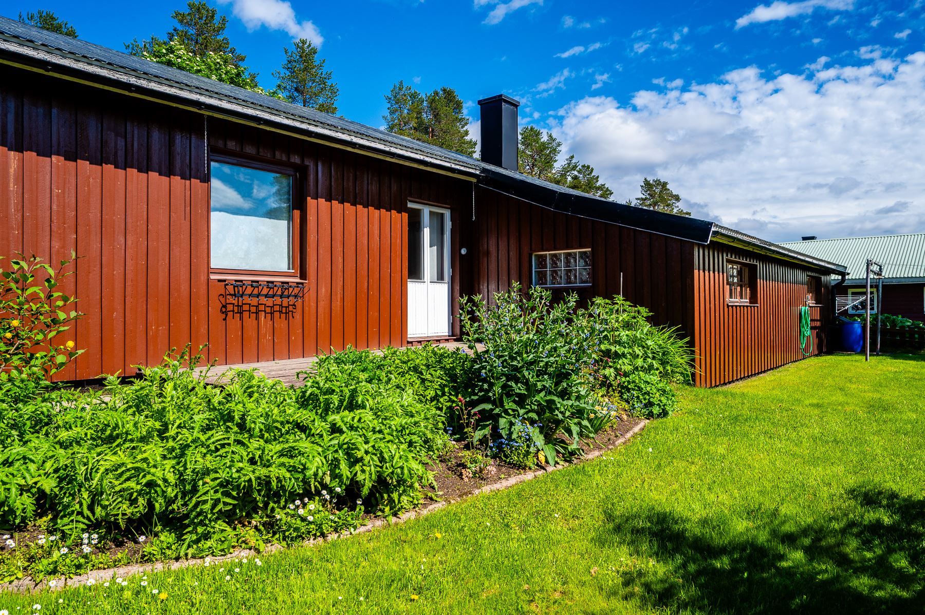 Exteriör
