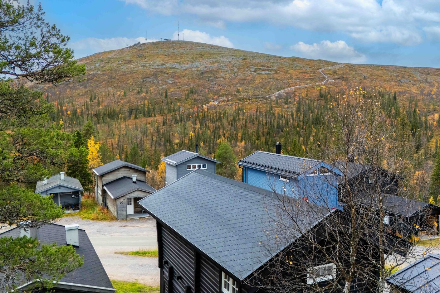 Exteriör