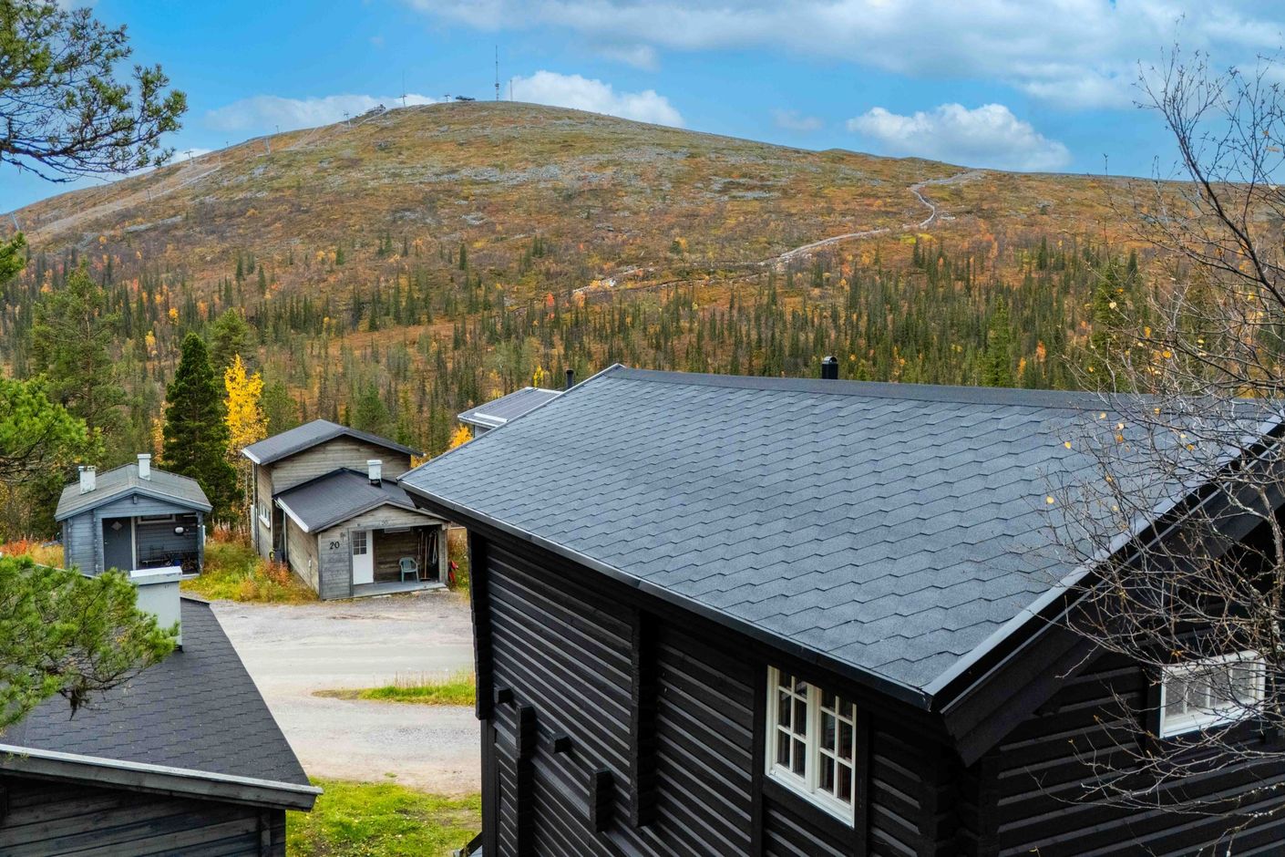 Exteriör