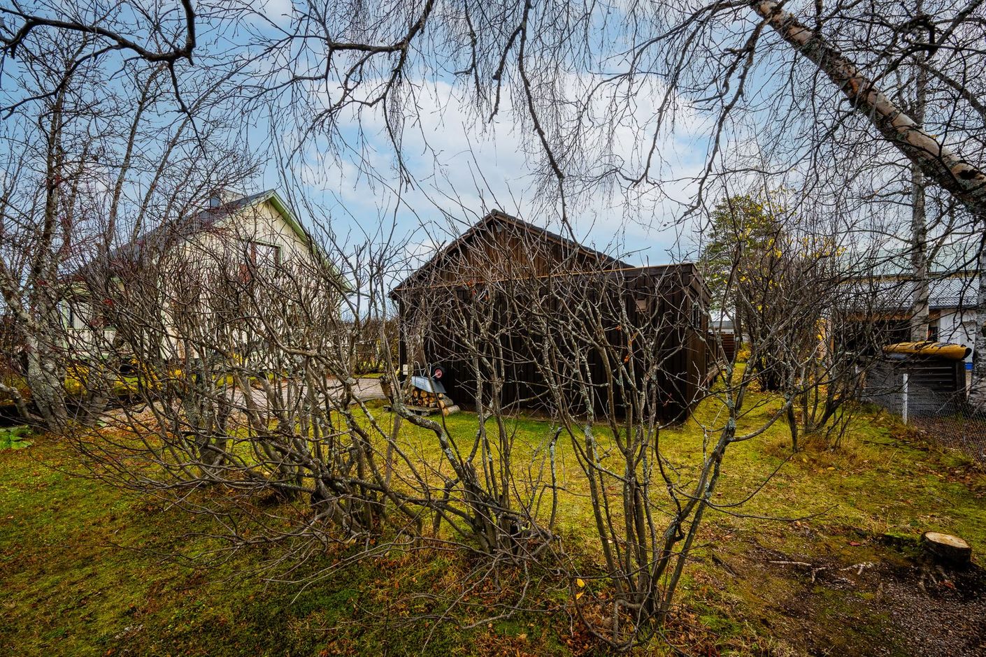 Exteriör