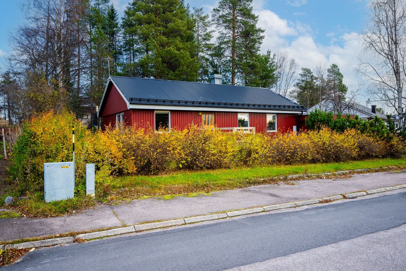 Exteriör