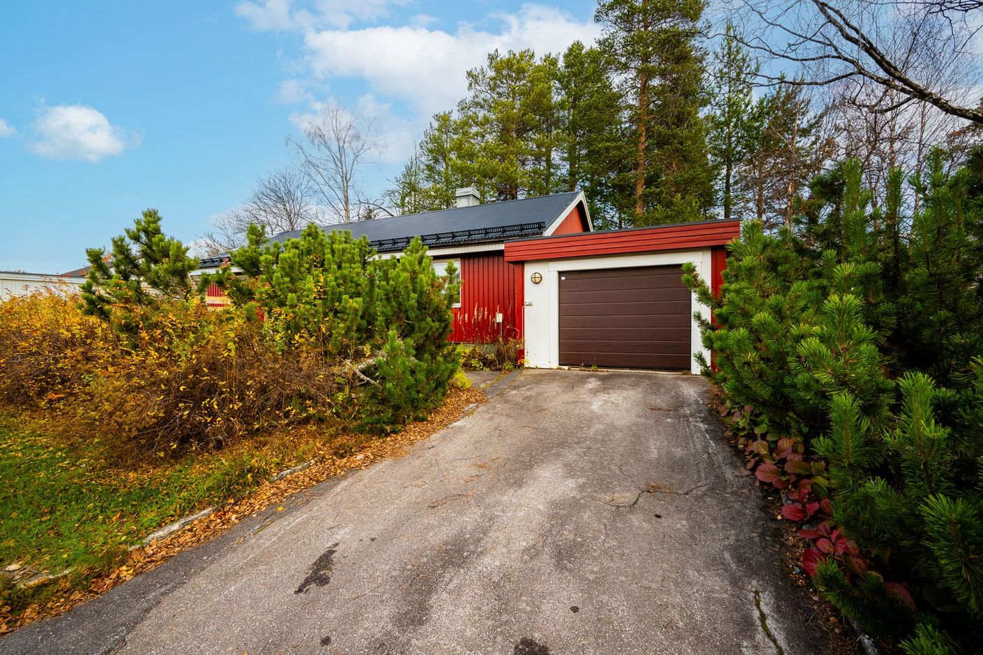 Exteriör
