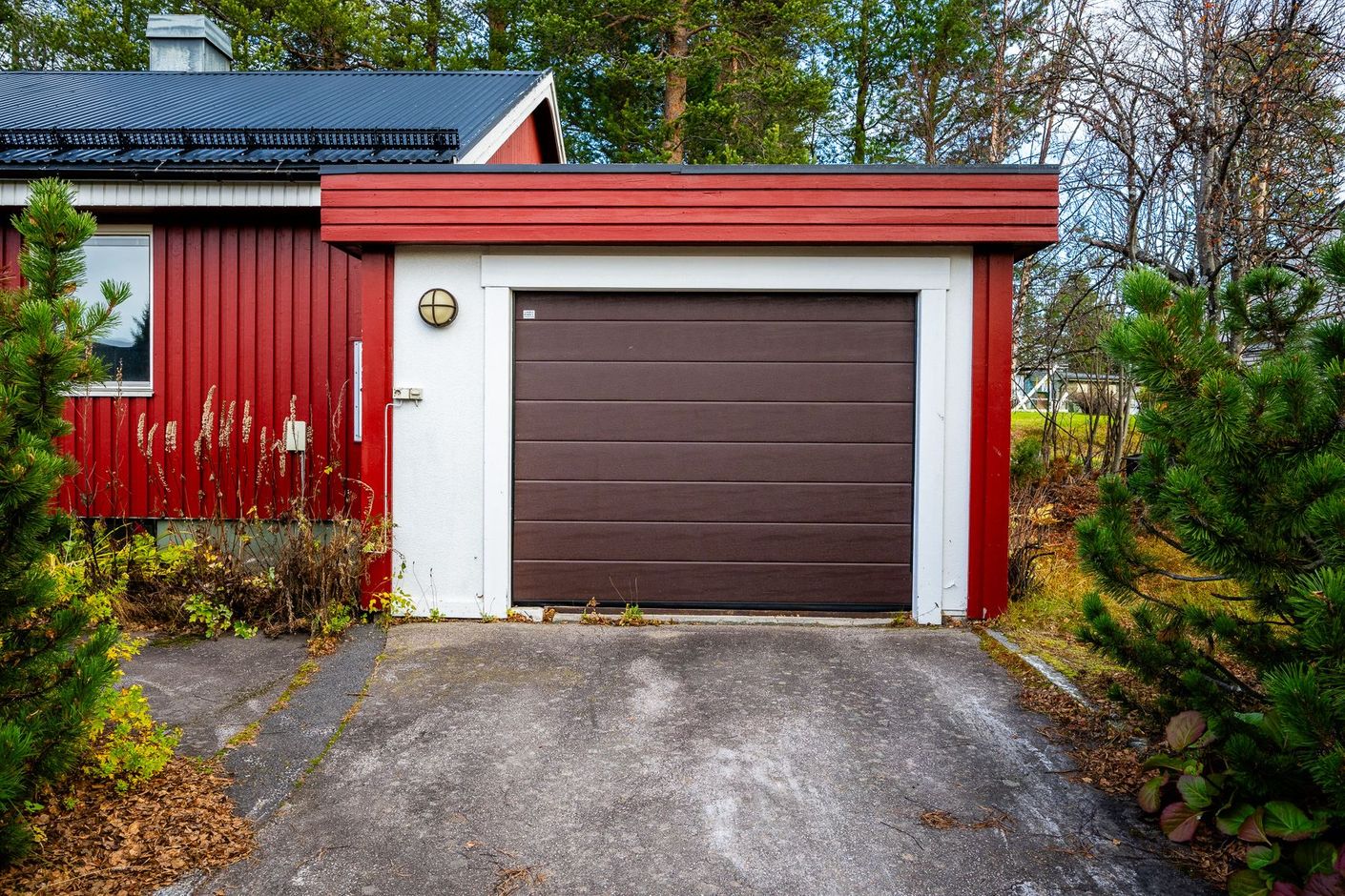 Exteriör