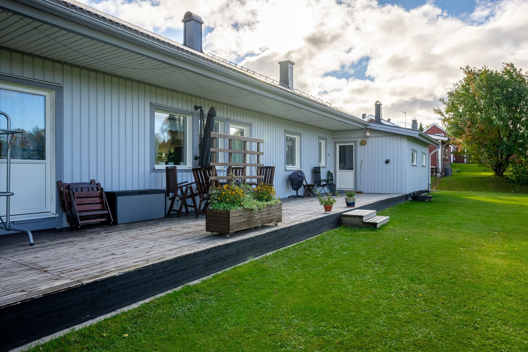 Exteriör