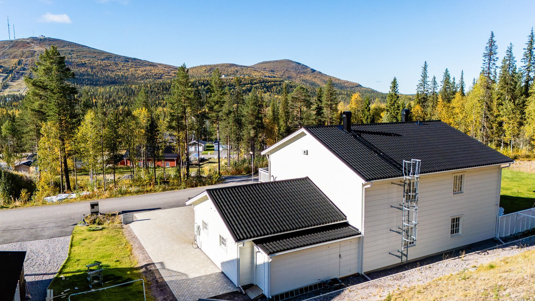 Exteriör