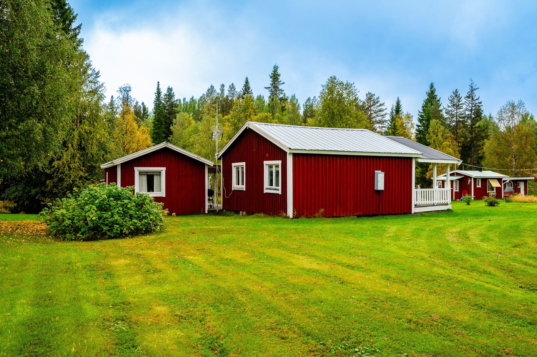 Exteriör