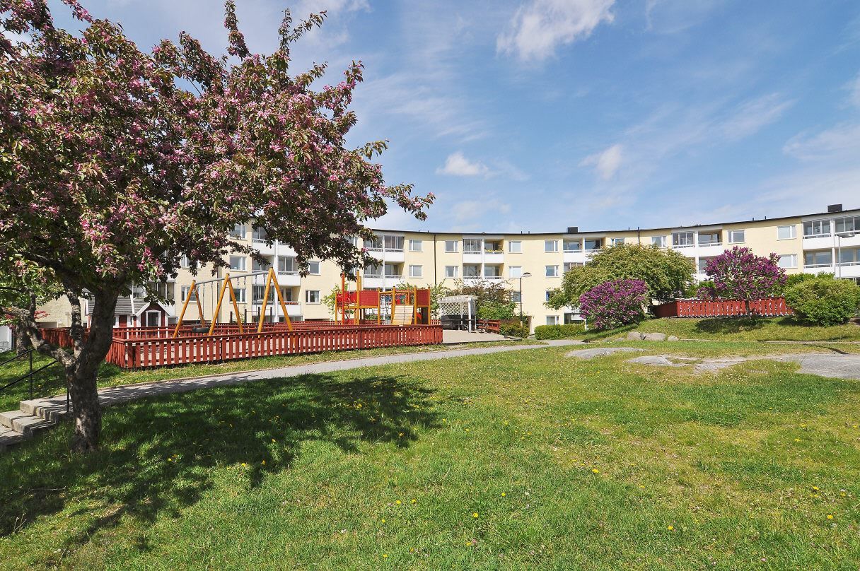 Innergård i sommarblom