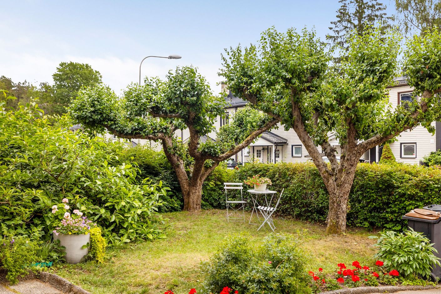 Trädgård